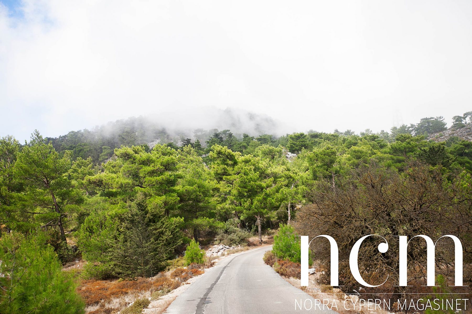 väg uppe i bergen på jeep safari på norra cypern