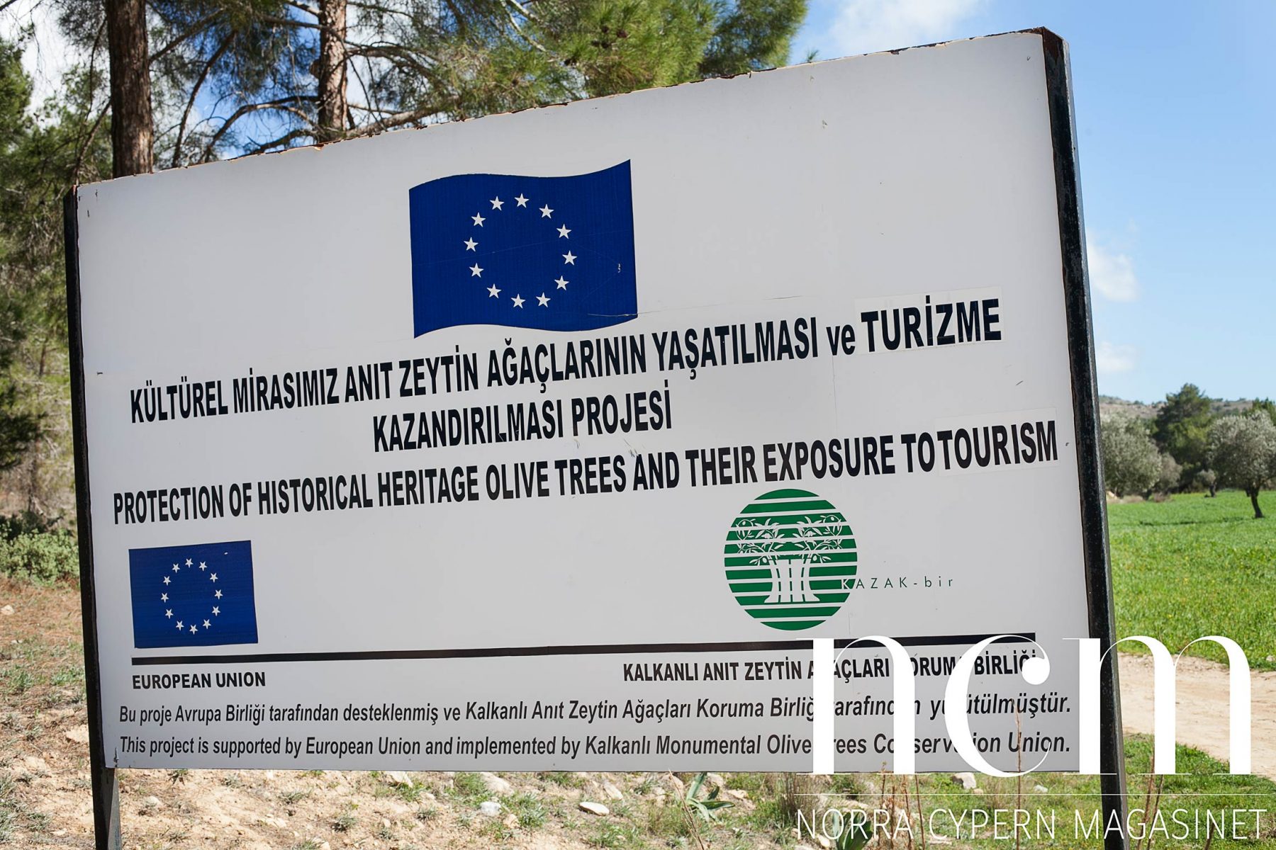 Europeiska Union bidrar med ekonomiskt stöd för skötsel av olivträd på norra Cypern