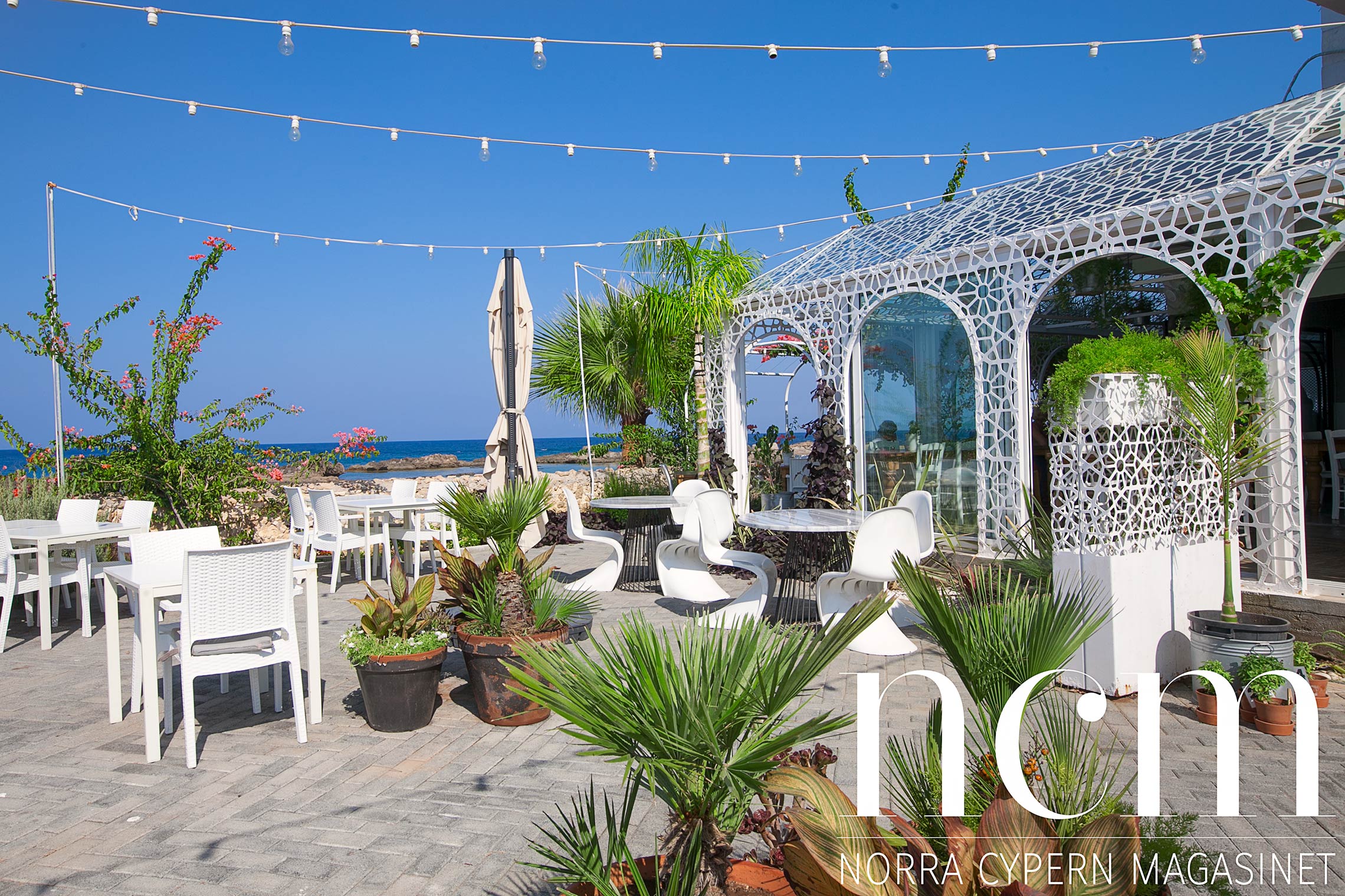 vacker trädgård utanför palm house restaurang på norra cypern